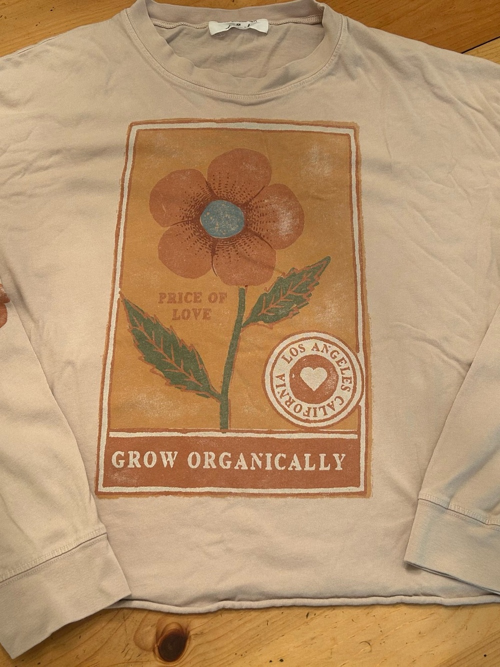 Daydreamer for Free People - Grow Organically' Floral Graphic Sweatshirt - Cream
